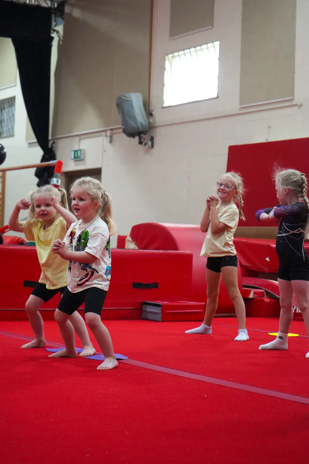 Recreational Gymnastics — A moment from the session