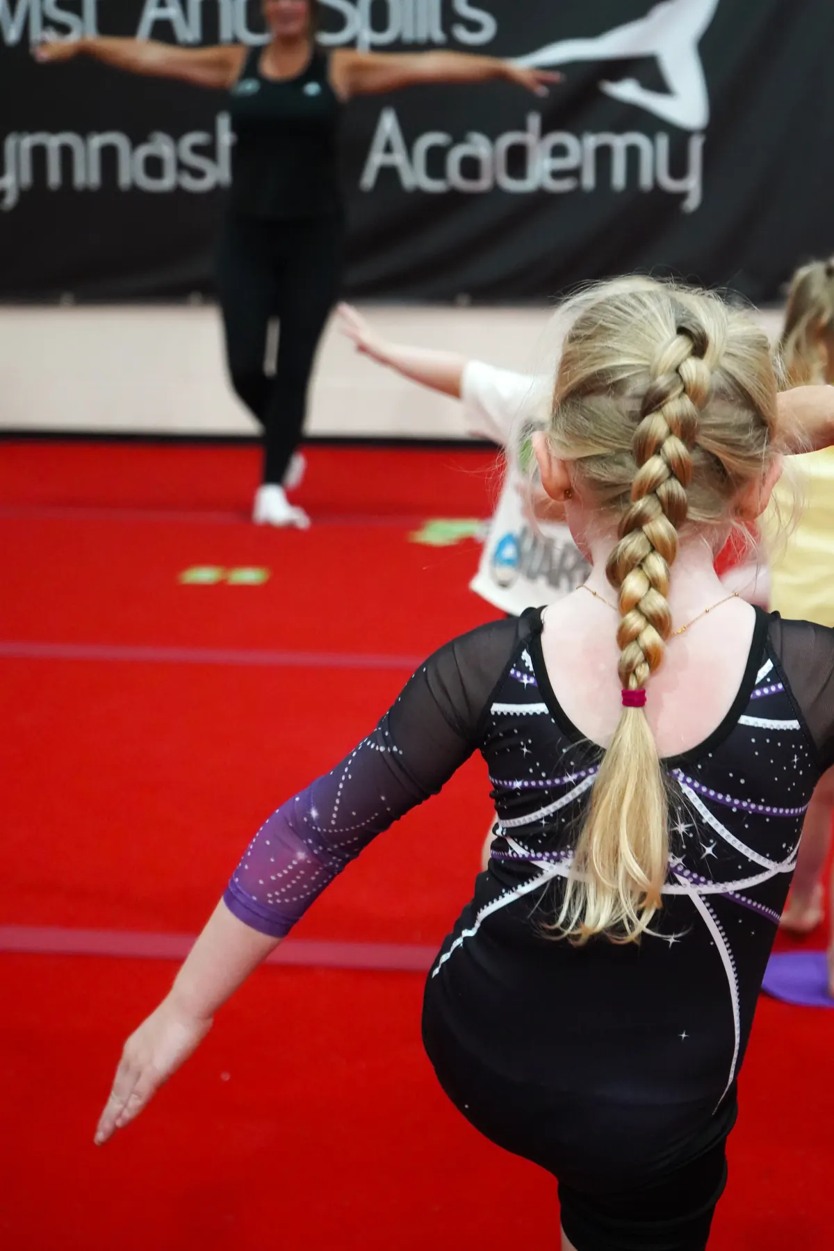 Recreational Gymnastics — A moment from the session