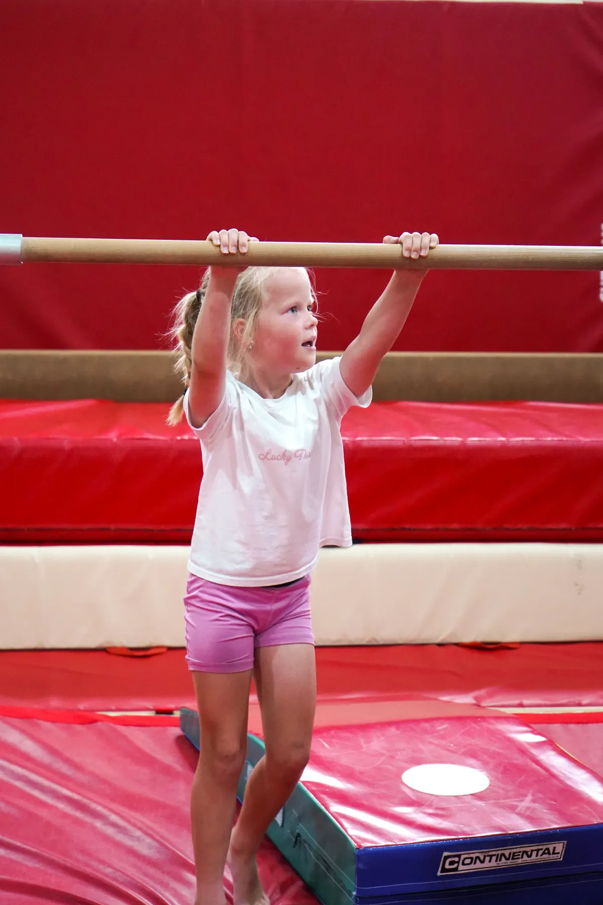 Recreational Gymnastics — A moment from the session